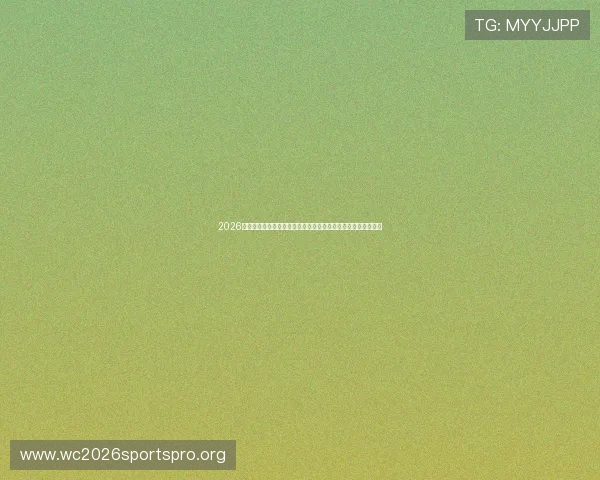 2026世界杯伊朗对阵新西兰比赛中进攻三区数据对比与关键战术分析